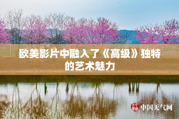 欧美影片中融入了《高级》独特的艺术魅力