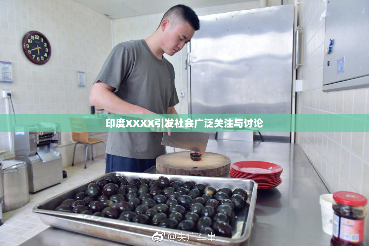 印度XXXX引发社会广泛关注与讨论
