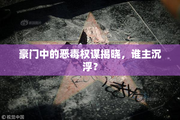 豪门中的恶毒权谋揭晓，谁主沉浮？