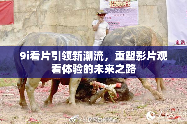9i看片引领新潮流，重塑影片观看体验的未来之路