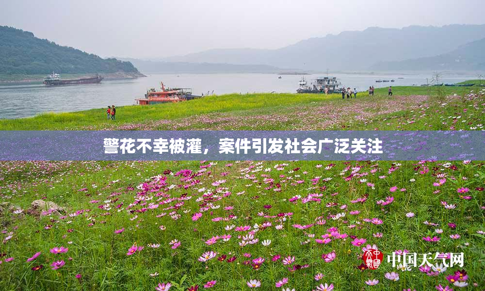 警花不幸被灌，案件引发社会广泛关注