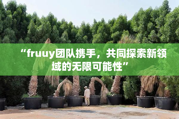 “fruuy团队携手，共同探索新领域的无限可能性”