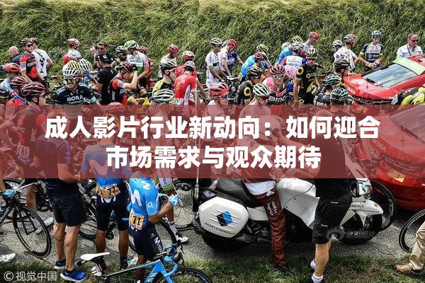 成人影片行业新动向：如何迎合市场需求与观众期待