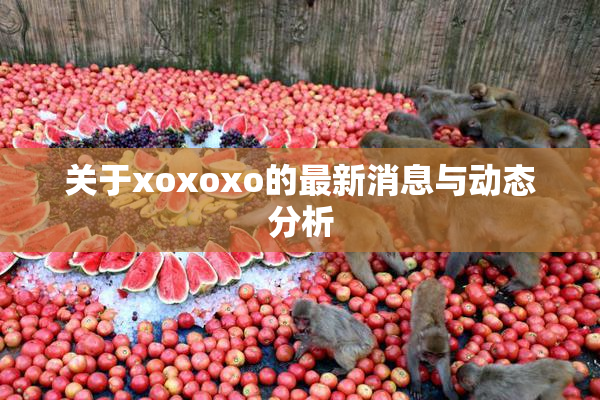 关于xoxoxo的最新消息与动态分析