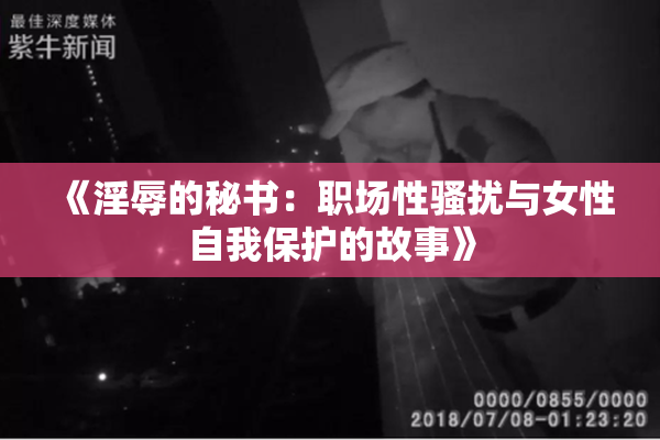 《淫辱的秘书：职场性骚扰与女性自我保护的故事》