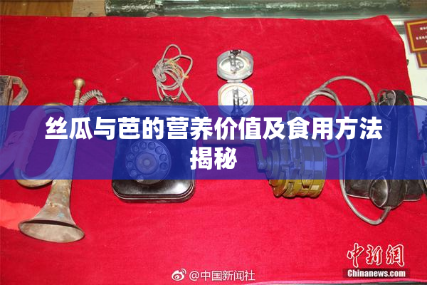 丝瓜与芭的营养价值及食用方法揭秘