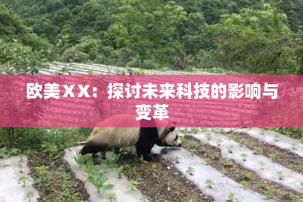 欧美ⅩX：探讨未来科技的影响与变革