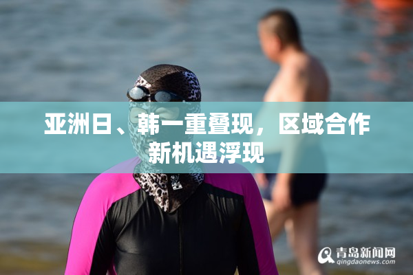 亚洲日、韩一重叠现，区域合作新机遇浮现