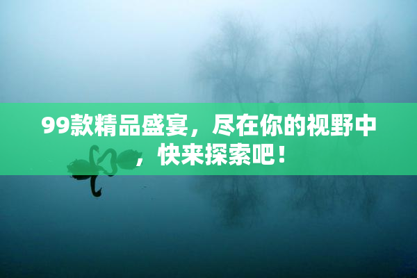 99款精品盛宴，尽在你的视野中，快来探索吧！