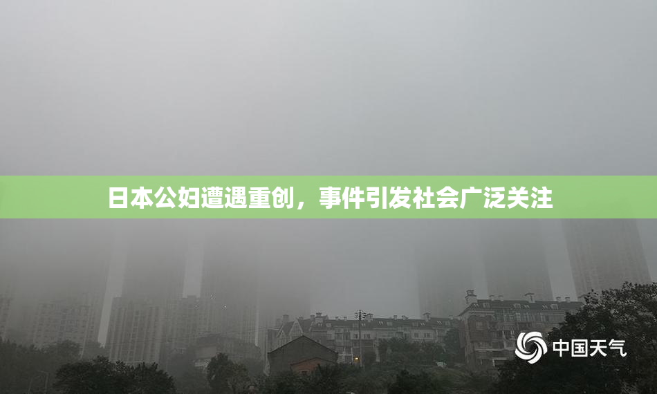 日本公妇遭遇重创，事件引发社会广泛关注