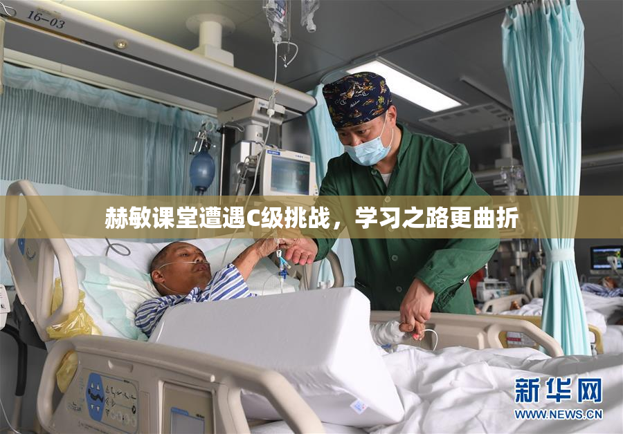 赫敏课堂遭遇C级挑战，学习之路更曲折