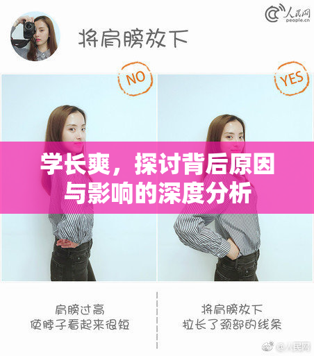 学长爽，探讨背后原因与影响的深度分析
