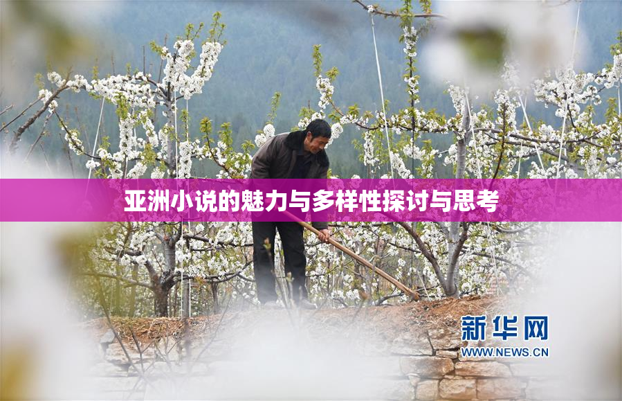 亚洲小说的魅力与多样性探讨与思考