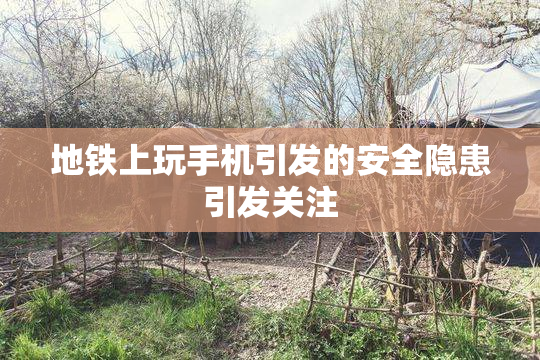 地铁上玩手机引发的安全隐患引发关注