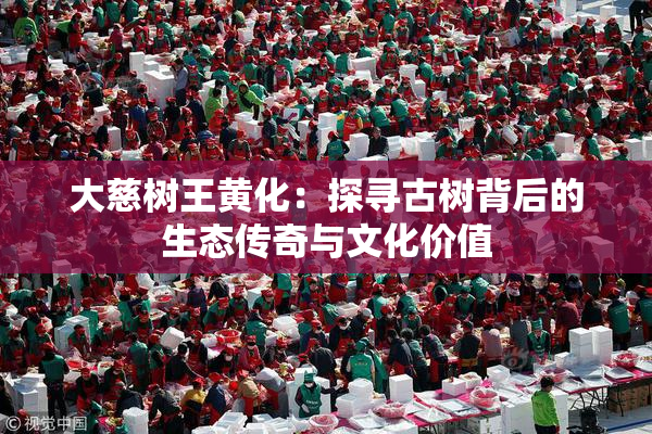 大慈树王黄化：探寻古树背后的生态传奇与文化价值