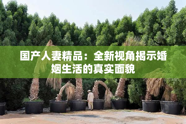 国产人妻精品：全新视角揭示婚姻生活的真实面貌