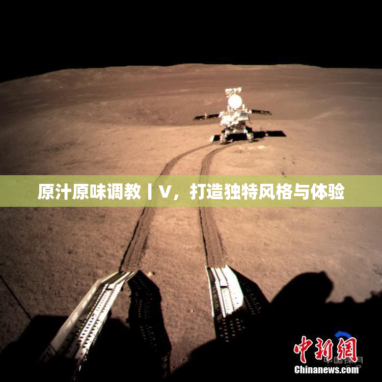 原汁原味调教丨V，打造独特风格与体验