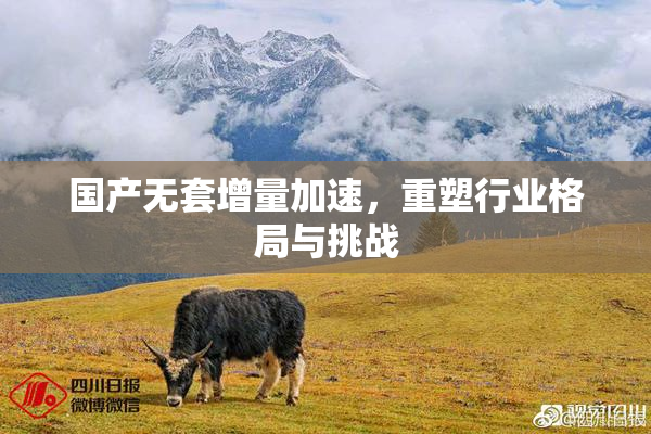 国产无套增量加速，重塑行业格局与挑战