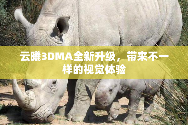 云曦3DMA全新升级，带来不一样的视觉体验