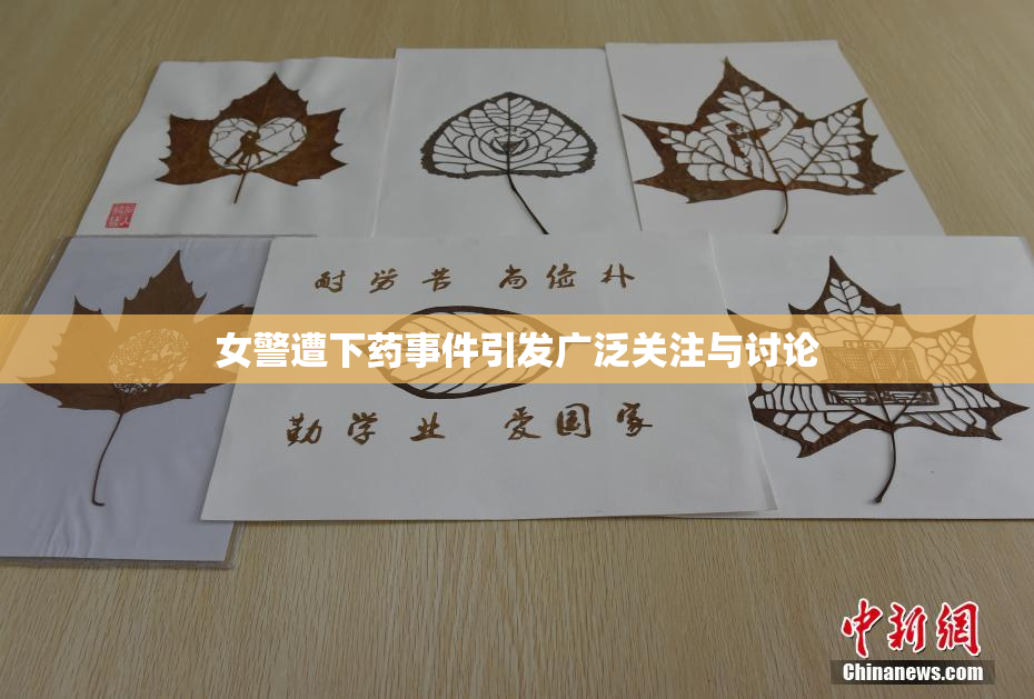 女警遭下药事件引发广泛关注与讨论