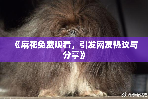 《麻花免费观看，引发网友热议与分享》