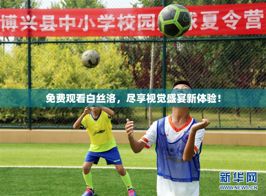 免费观看白丝洛，尽享视觉盛宴新体验！