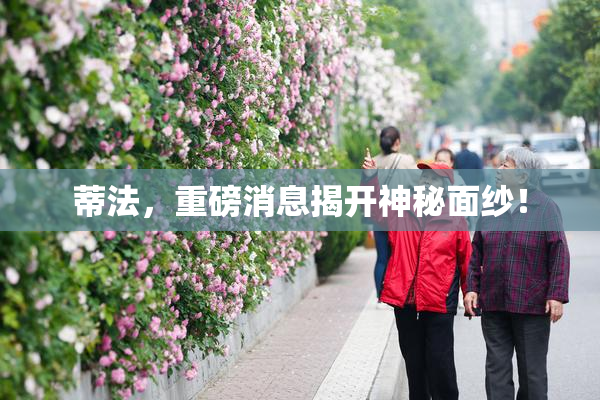 蒂法，重磅消息揭开神秘面纱！