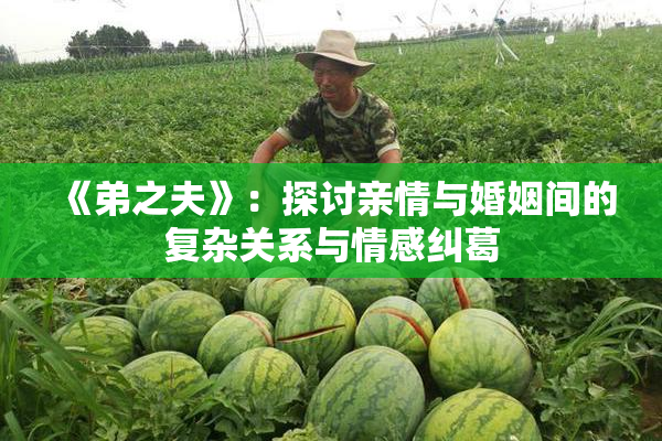 《弟之夫》：探讨亲情与婚姻间的复杂关系与情感纠葛