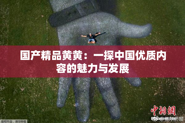 国产精品黄黄：一探中国优质内容的魅力与发展