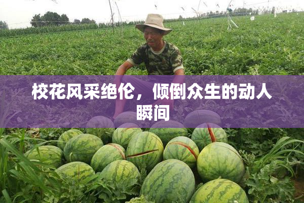 校花风采绝伦，倾倒众生的动人瞬间