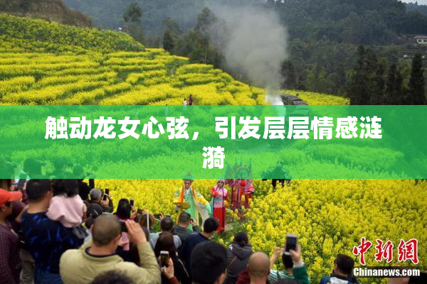 触动龙女心弦，引发层层情感涟漪