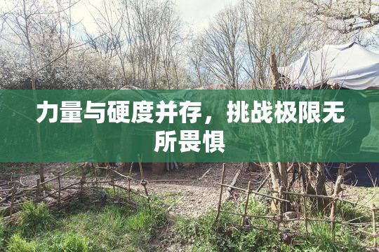 力量与硬度并存，挑战极限无所畏惧
