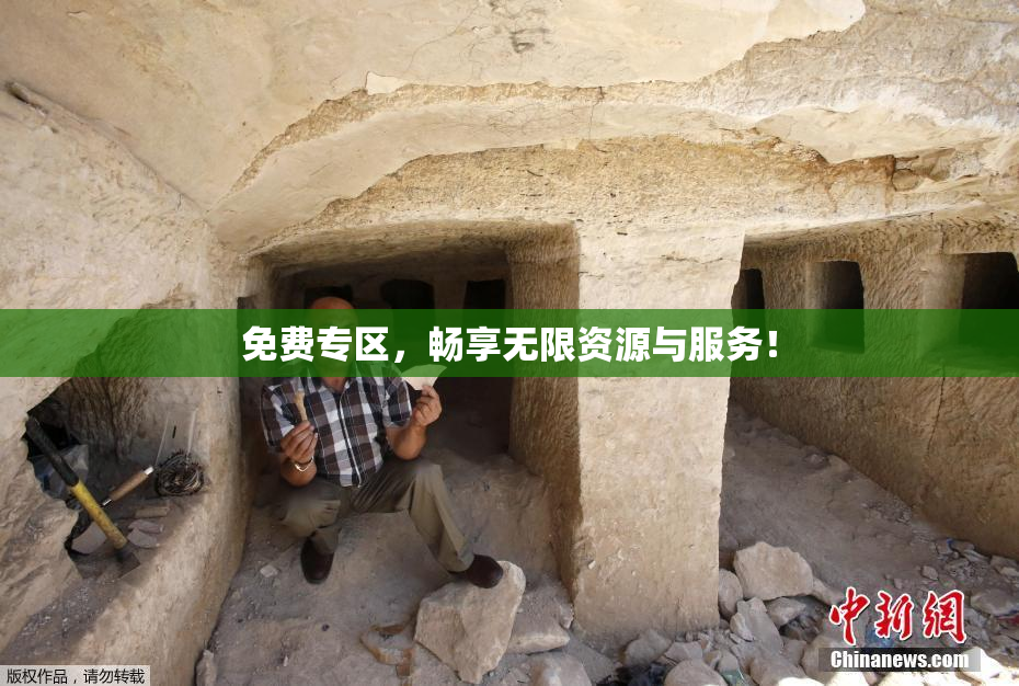 免费专区，畅享无限资源与服务！