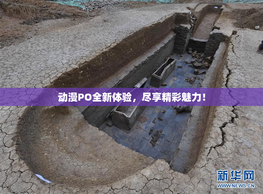 动漫PO全新体验，尽享精彩魅力！