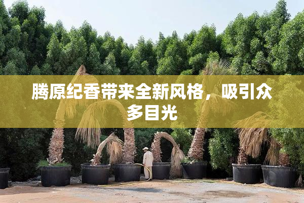 腾原纪香带来全新风格，吸引众多目光