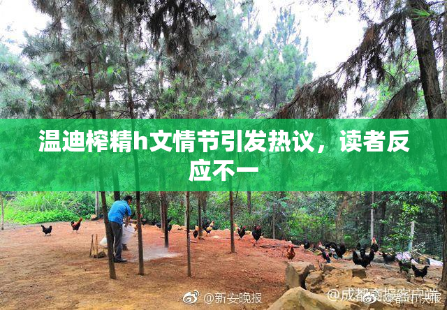 温迪榨精h文情节引发热议，读者反应不一