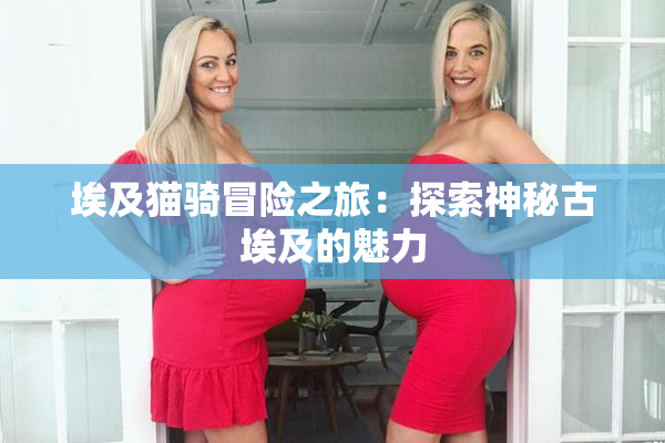 埃及猫骑冒险之旅：探索神秘古埃及的魅力