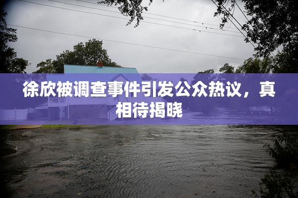 徐欣被调查事件引发公众热议，真相待揭晓