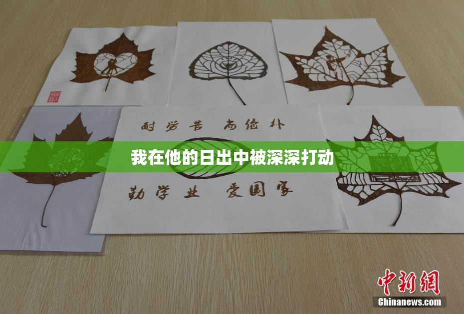 我在他的日出中被深深打动