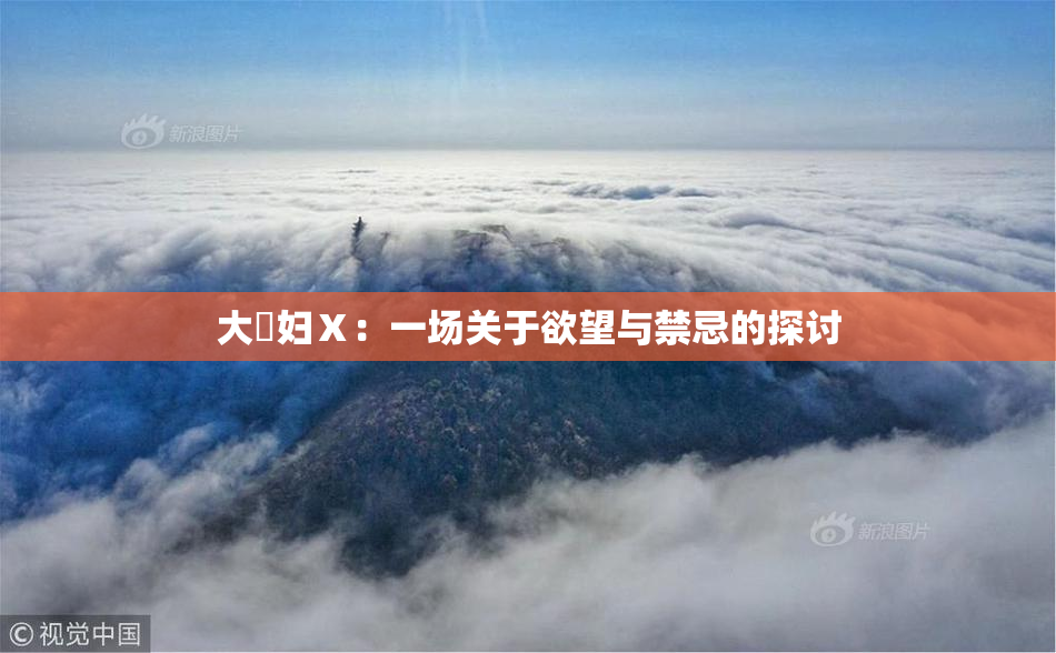 大婬妇Ⅹ：一场关于欲望与禁忌的探讨