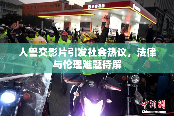 人兽交影片引发社会热议，法律与伦理难题待解