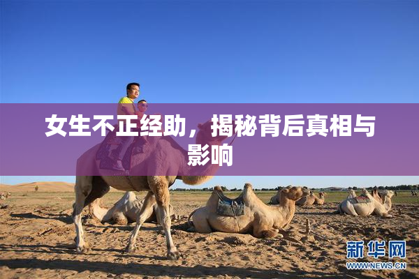 女生不正经助，揭秘背后真相与影响