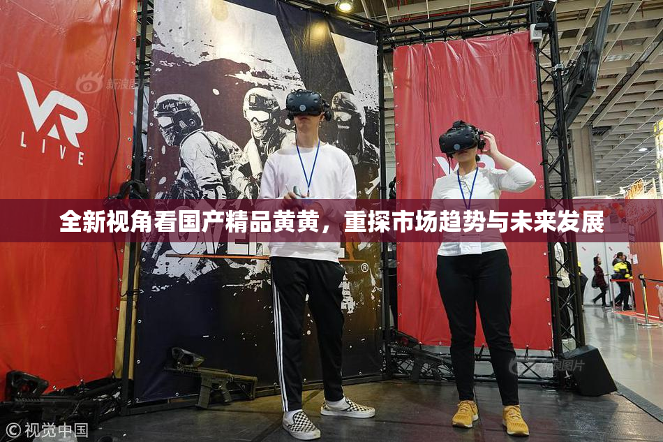 全新视角看国产精品黄黄，重探市场趋势与未来发展