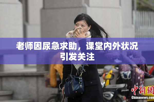 老师因尿急求助，课堂内外状况引发关注