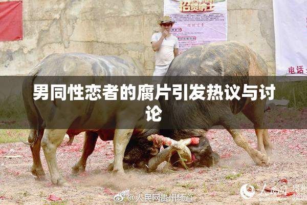 男同性恋者的腐片引发热议与讨论