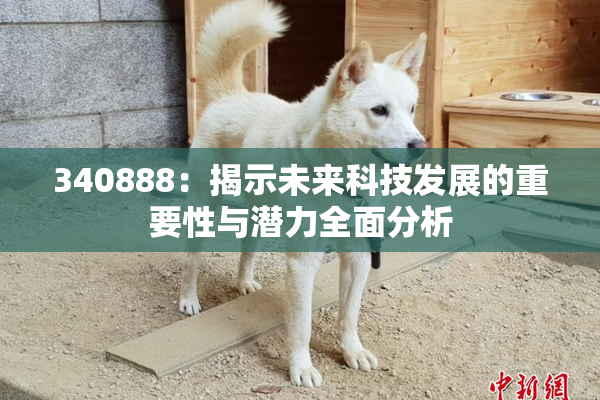 340888：揭示未来科技发展的重要性与潜力全面分析