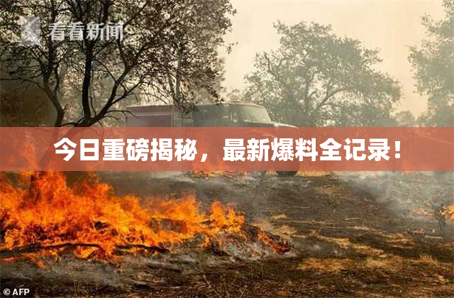 今日重磅揭秘，最新爆料全记录！