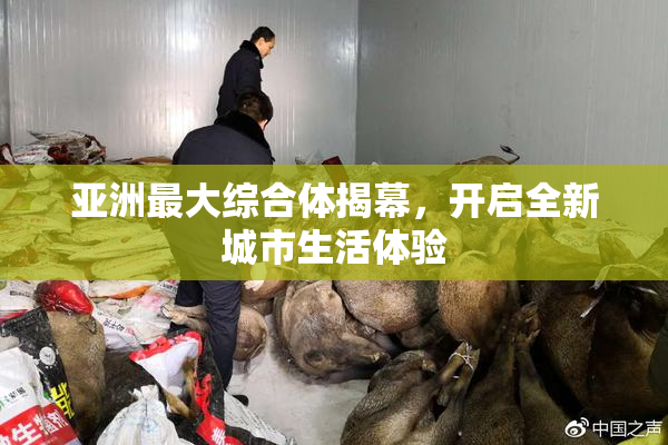亚洲最大综合体揭幕，开启全新城市生活体验