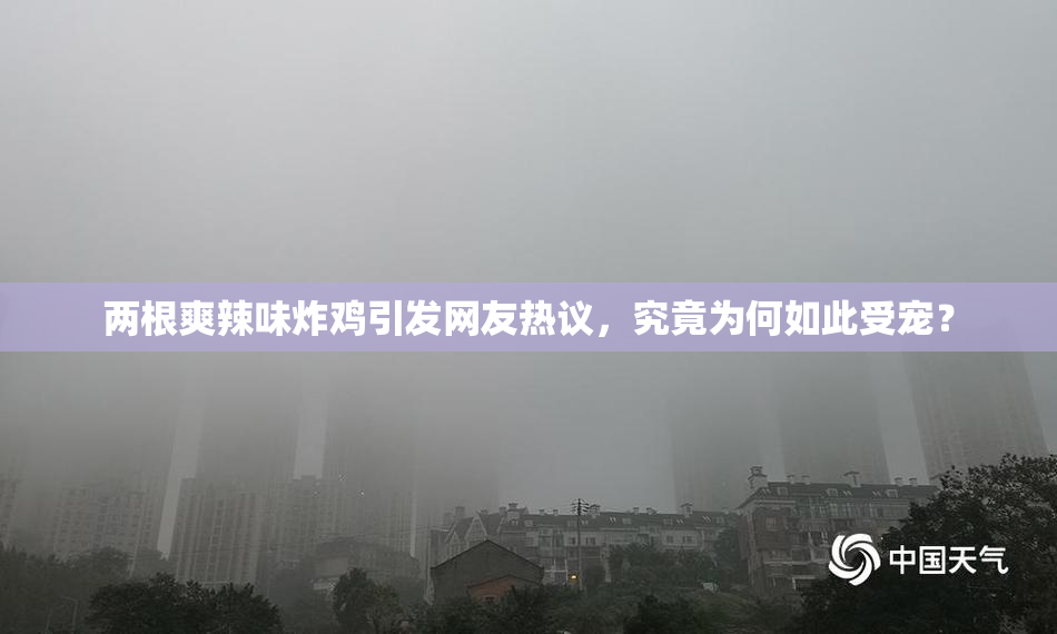 两根爽辣味炸鸡引发网友热议，究竟为何如此受宠？