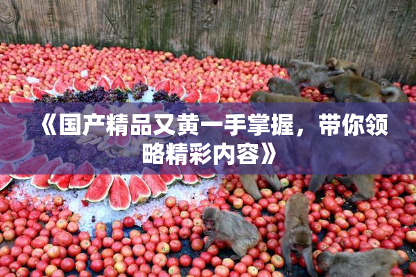 《国产精品又黄一手掌握，带你领略精彩内容》